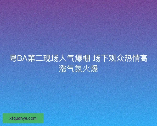 粤BA第二现场人气爆棚 场下观众热情高涨气氛火爆