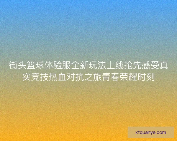 街头篮球体验服全新玩法上线抢先感受真实竞技热血对抗之旅青春荣耀时刻