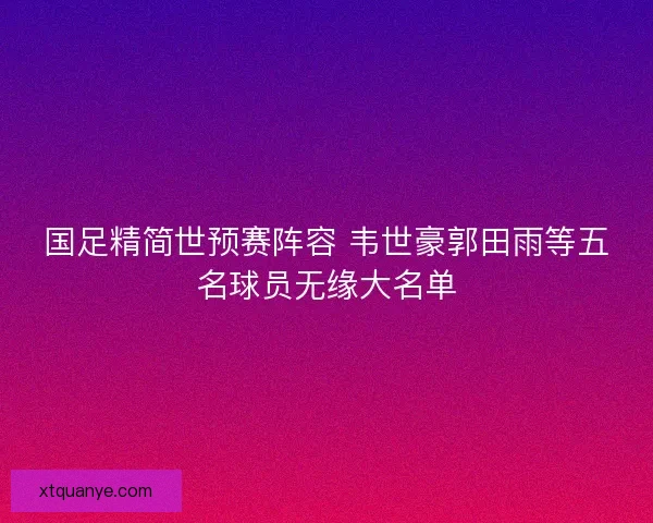 国足精简世预赛阵容 韦世豪郭田雨等五名球员无缘大名单 国足精简世预赛阵容 韦世豪郭田雨等五名球员无缘大名单