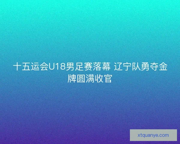 十五运会U18男足赛落幕 辽宁队勇夺金牌圆满收官