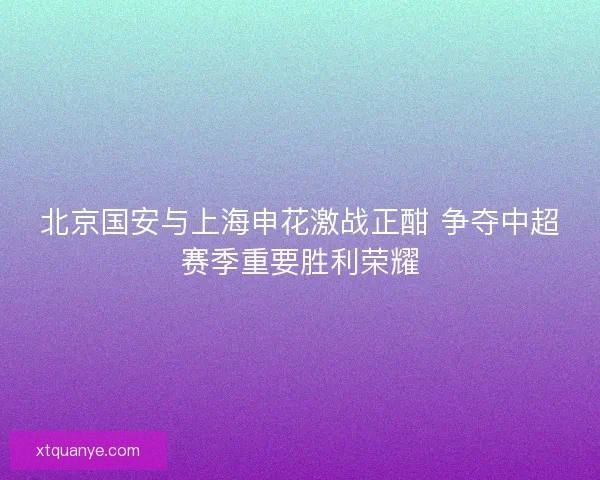 北京国安与上海申花激战正酣 争夺中超赛季重要胜利荣耀
